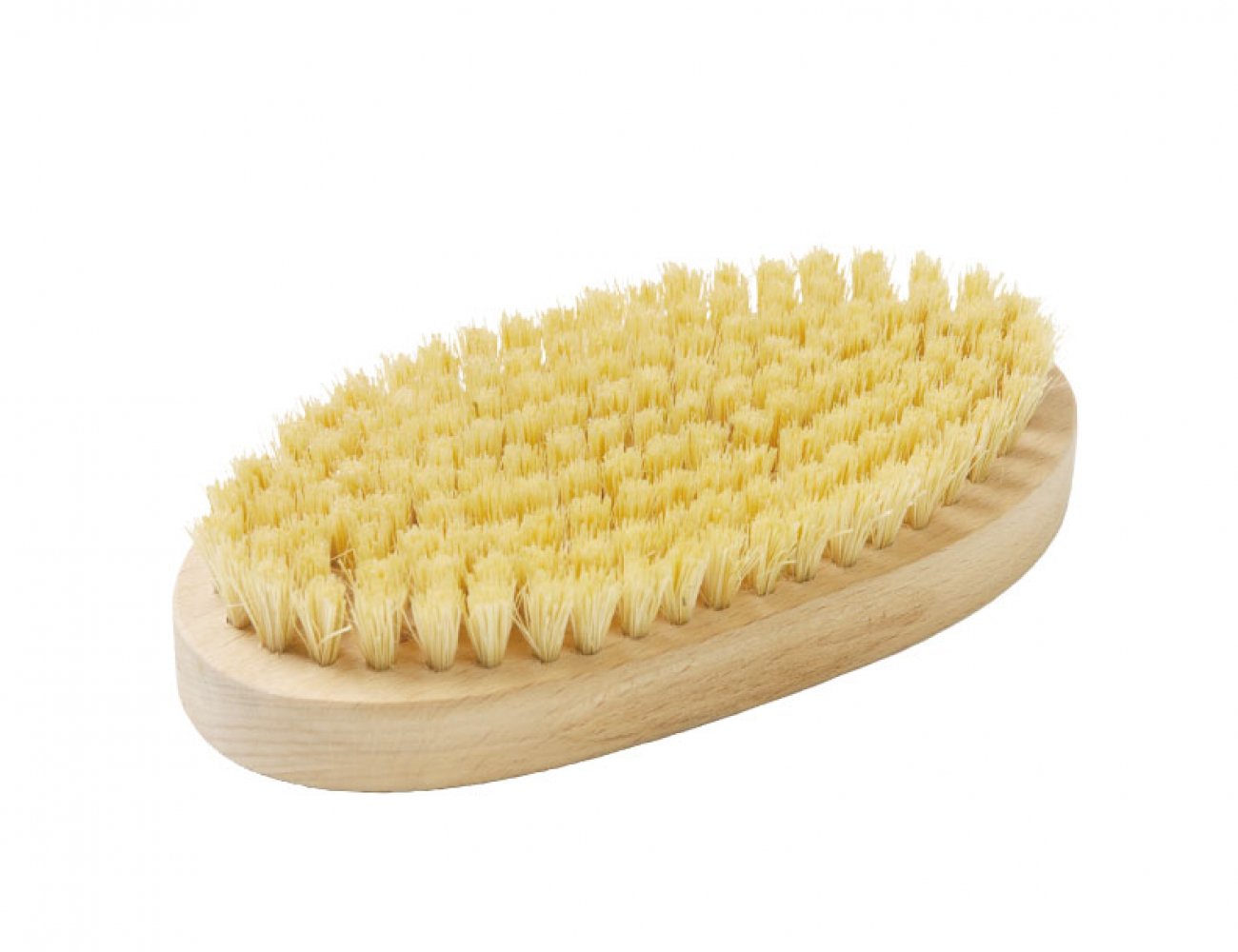 pakinbrush.jpg