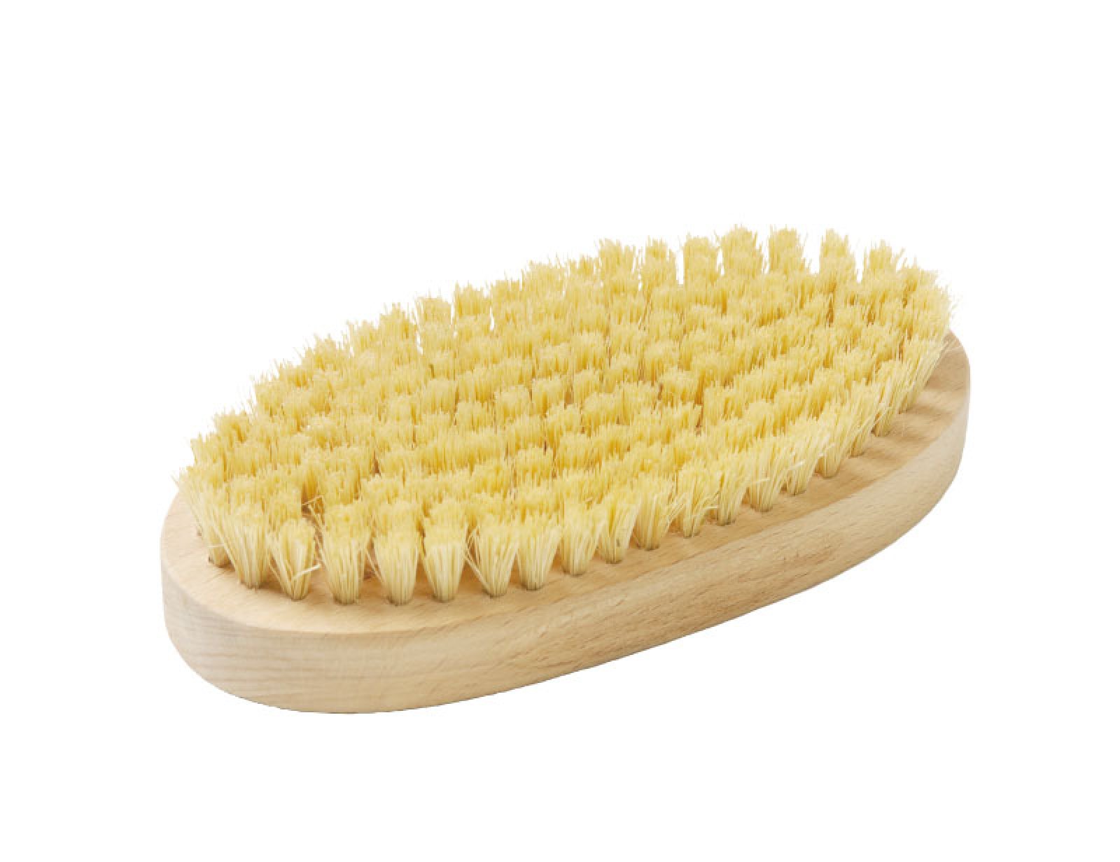 pakinbrush.jpg